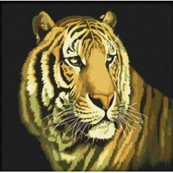 Malování podle čísel Tygr...
