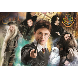 CLEMENTONI Puzzle Harry Potter: Učitelé 1000 dílků