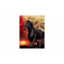 Diamantový obrázek - Černý kůň 30x40cm