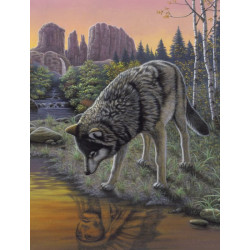 Malování podle čísel 22x30 cm - Vlk