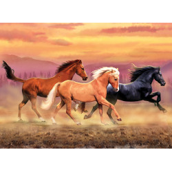 Malování podle čísel 40 x 30 cm-Běžící koně