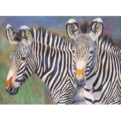 Malování podle čísel 40x30 cm-Zebry