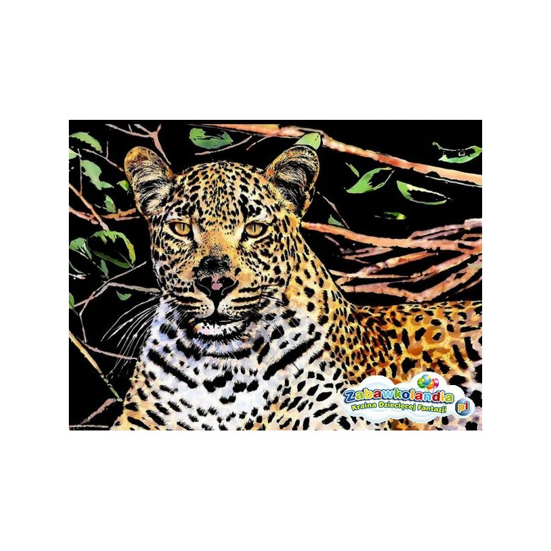 Škrabací obrázek- Gepard  40,5x28,5cm