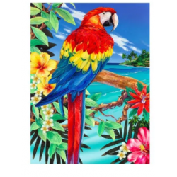 Malování podle čísel 22x30 cm - Papoušek