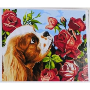 Malovaní na plátno 40x50cm Pejsek s růžemi, XX