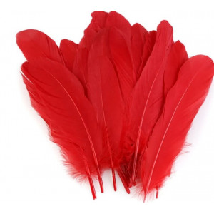 Husí peří délka 12-21 cm červená 10 ks