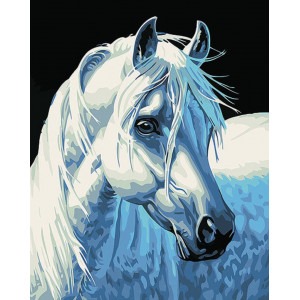 Malování podle čísel Bílý kůň M1387