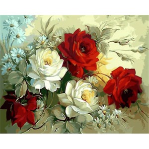 Malování podle čísel Růže M992553