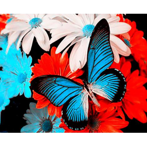 Malování podle čísel Motýl...