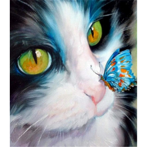 Malování podle čísel Kočička a motýlek