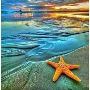 Diamantové malování Hvězdice na pláži 30x40cm