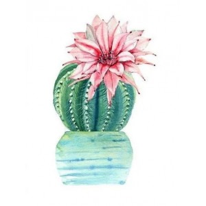 Diamantové malování Kvetoucí kaktus