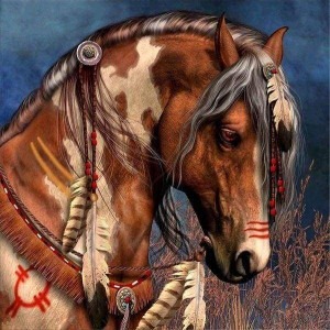 Diamantové malování Indiánský kůň
