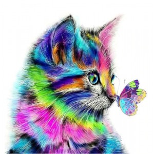 Diamantové malování Kotě s motýlem