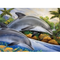 Malování podle čísel - Delfíni 30x40 cm