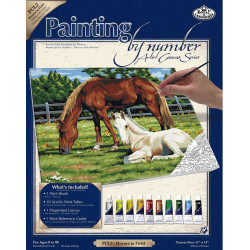 Malování na plátno 28x35cm Koně