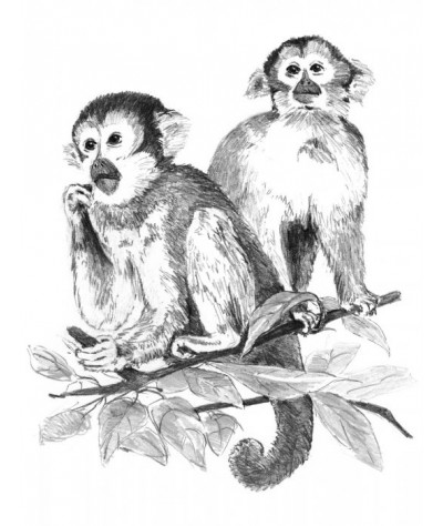 Malování SKICOVACÍMI TUŽKAMI- Opičky