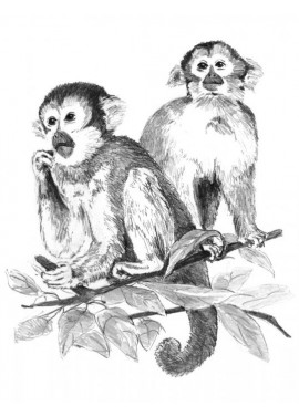 Malování SKICOVACÍMI TUŽKAMI- Opičky